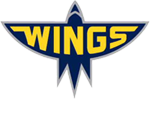 Arlanda wings hockey